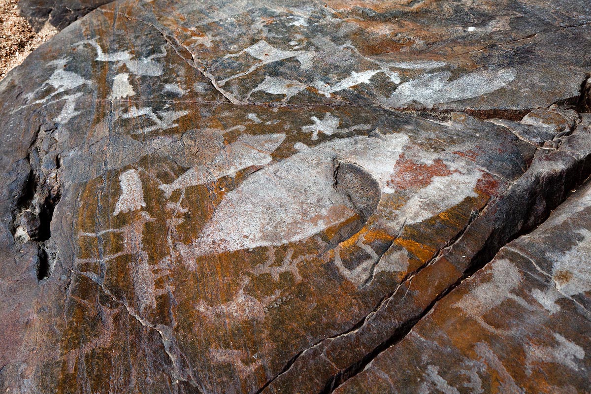 петроглифы бесовы следки беломорск. беломорские петроглифы. петроглифы онежского озера. какая птица часто изображена на беломорских петроглифах. археологический комплекс «беломорские петроглифы».