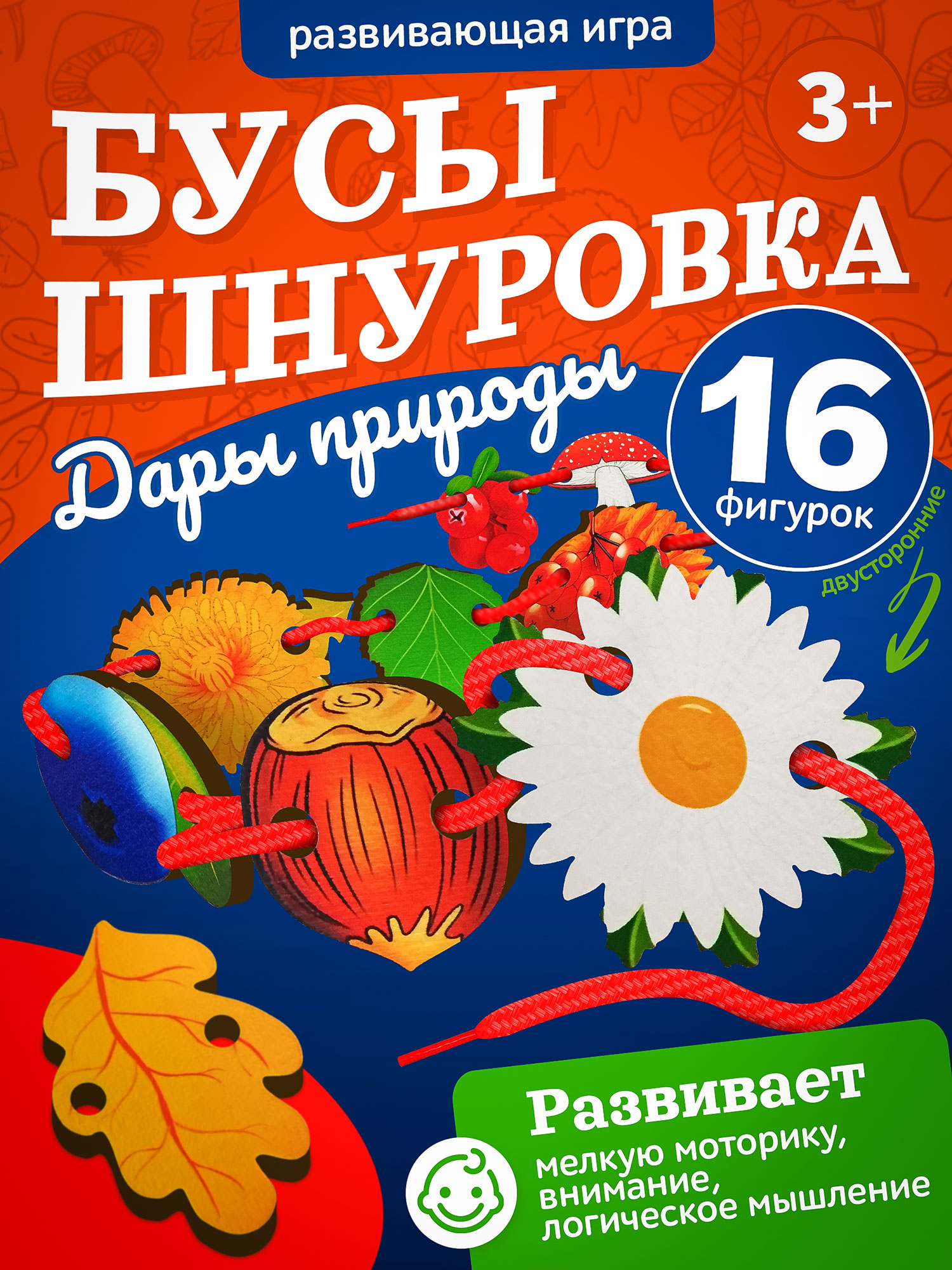 ���� �����