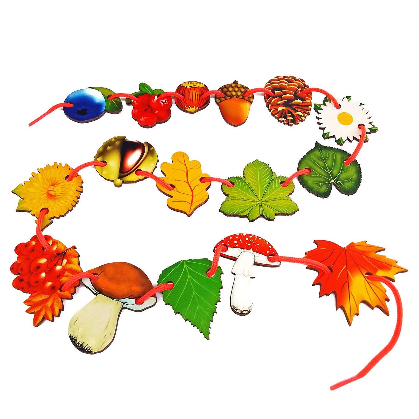 ���� �����